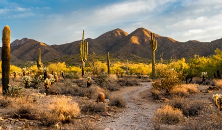 Arizona