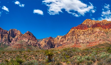 Nevada
