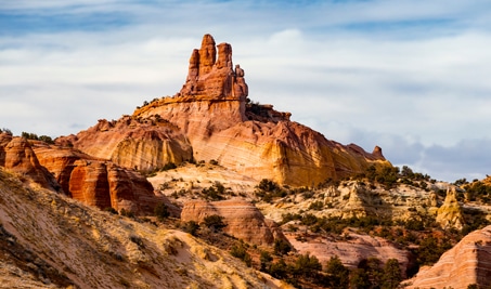 New Mexico