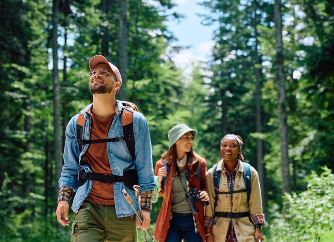 Hikers